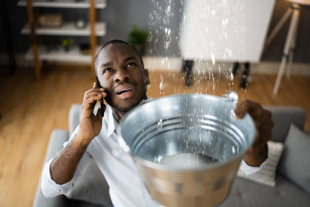 Best Basement water damage restoration  in Cape Girardeau, MO