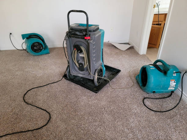 Water damage restoration experts in Cape Girardeau, MO