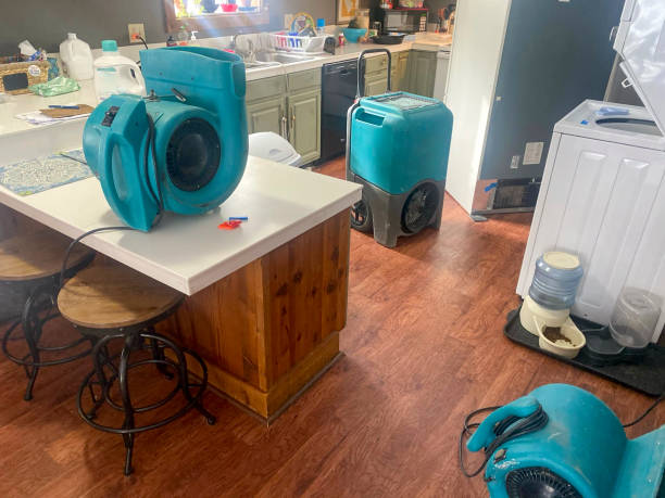 Best Flooded house restoration  in Cape Girardeau, MO