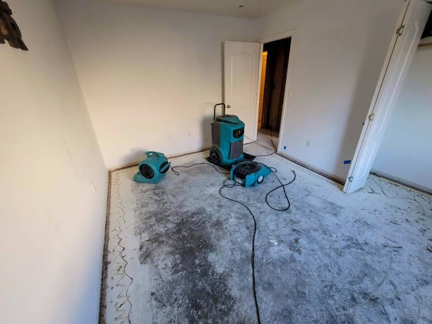 Best Fire Damage Restoration  in Cape Girardeau, MO