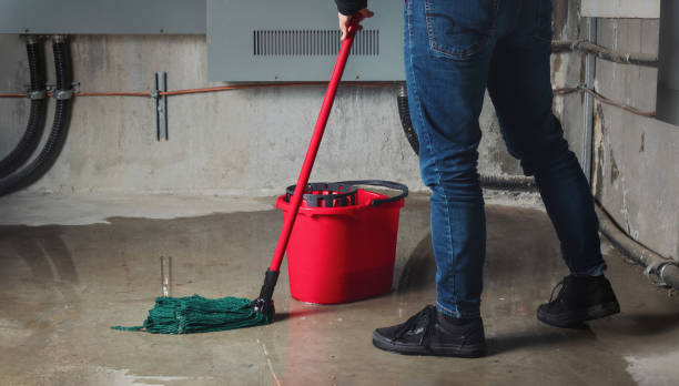 Best Professional water damage repair  in Cape Girardeau, MO