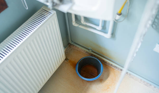Best Flood restoration services  in Cape Girardeau, MO