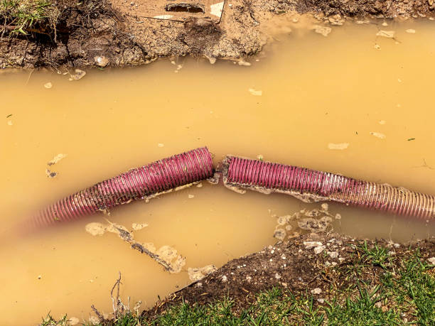 Best Water damage cleanup near me  in Cape Girardeau, MO