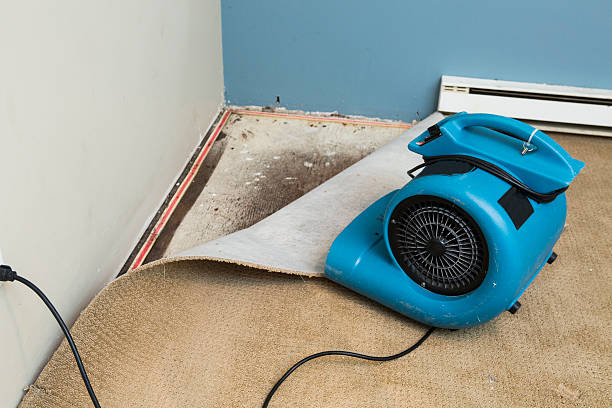  Cape Girardeau, MO Water damage restoration Pros